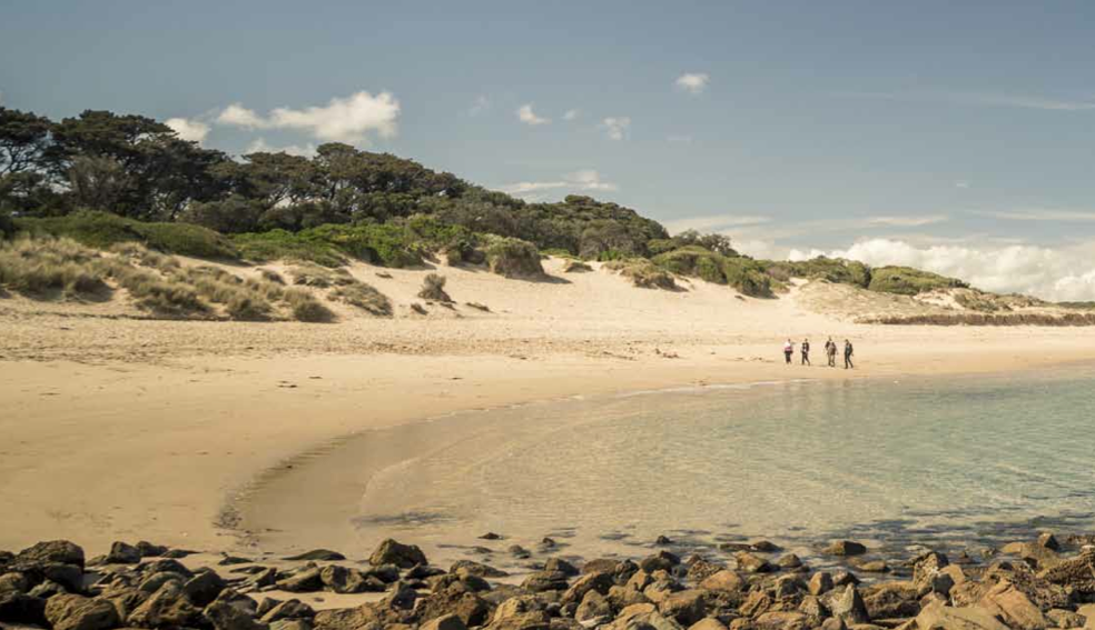 The Cape at Cape Paterson Green Magazine