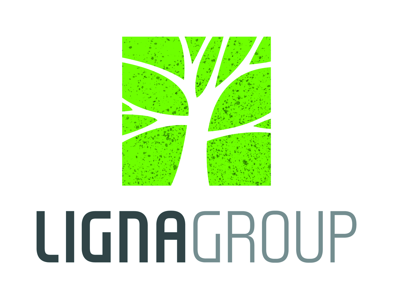 Ligna Group