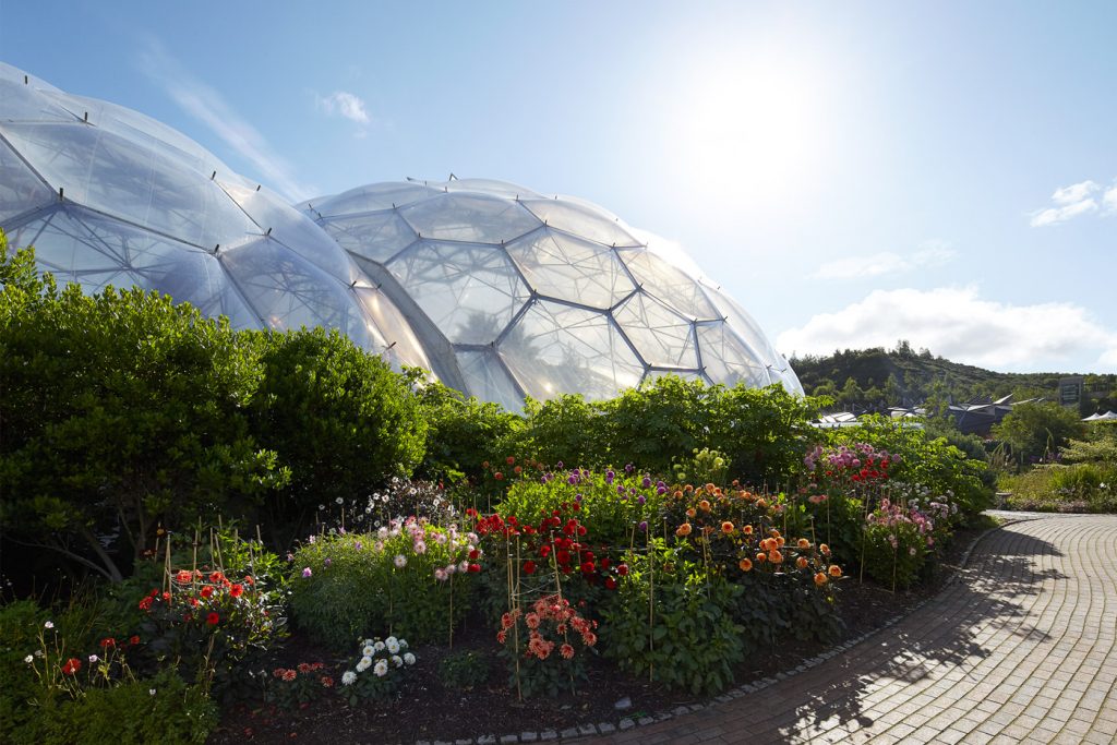 The Eden Project Cornwall plants roots in Australia Green Magazine