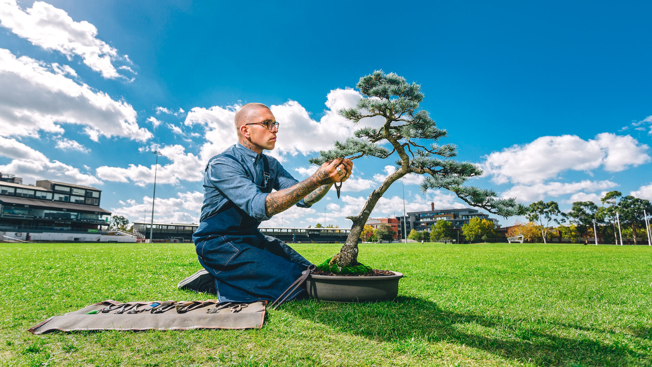 Ballarat to host bonsai exhibition | Green Magazine