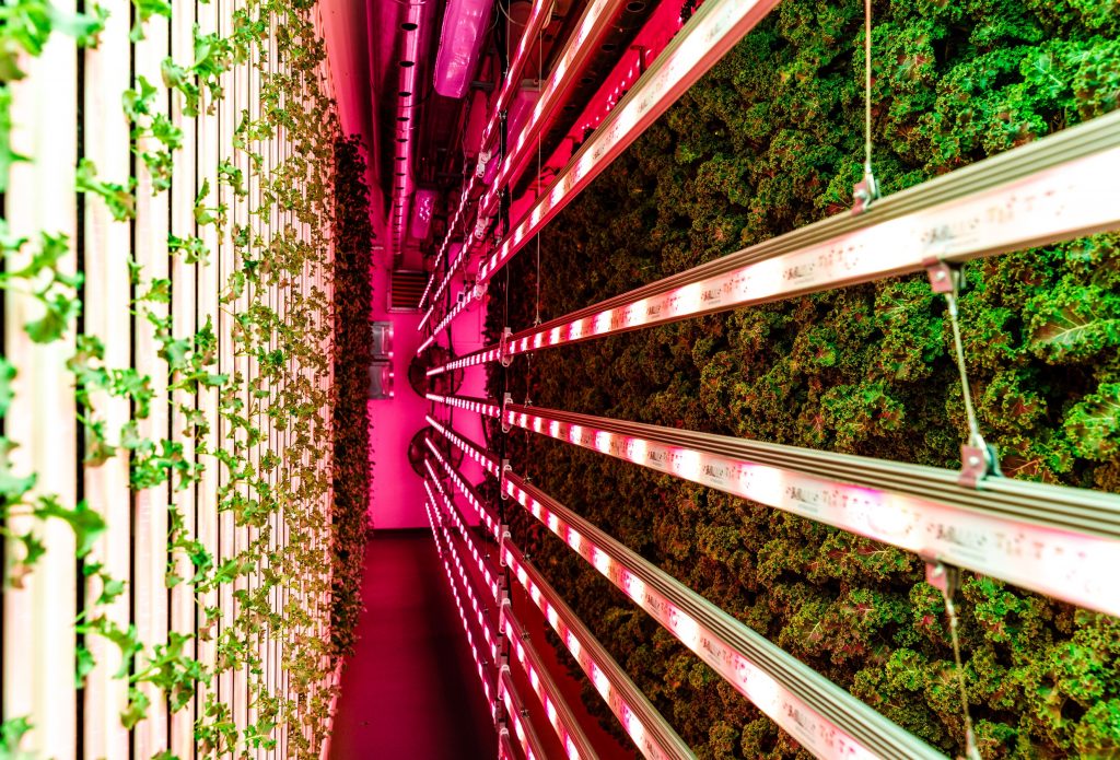 Modular Farms Co. launches Brisbane showcase farm Green Magazine