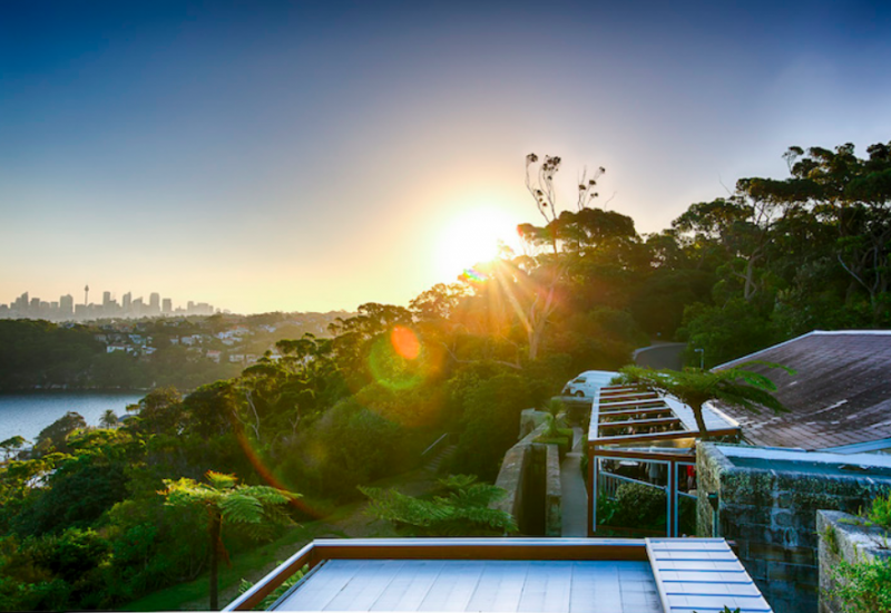 The Tea Room Green Magazine