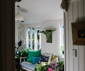Interior plantscaping, indoor plants, plant styling