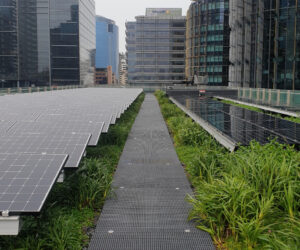 green roof solar power