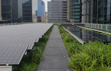 green roof solar power