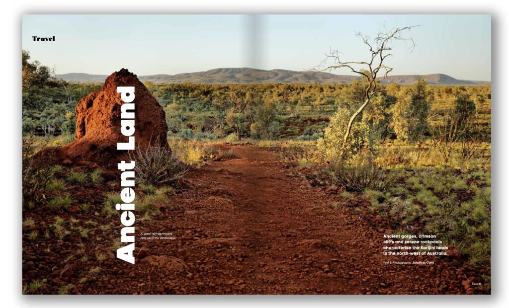 ancient land—green magazine issue 85 mockup
