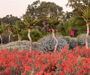 Open House Bendigo - Bendigo Botanic Gardens. Photo Alison Hoelzer