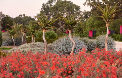 Open House Bendigo - Bendigo Botanic Gardens. Photo Alison Hoelzer