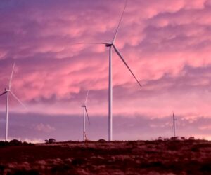 A wind farm set against a stunning pink and purple sky, with multiple wind turbines standing tall on the horizon. The colors of the sunset create a surreal and atmospheric scene.