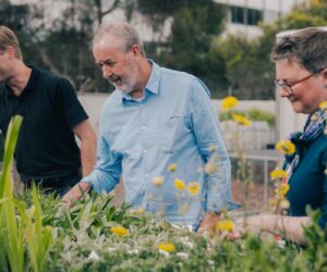 Burnley plant trials