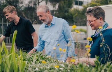 Burnley plant trials