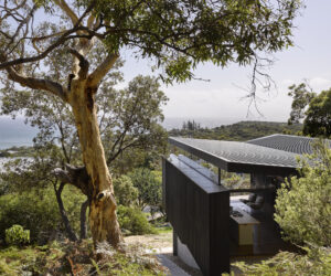 green magazine issue 80 - In Tune - Photo: Christopher Frederick Jones