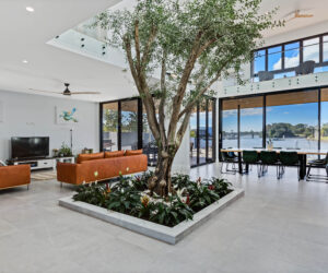 Olive Tree House 1
