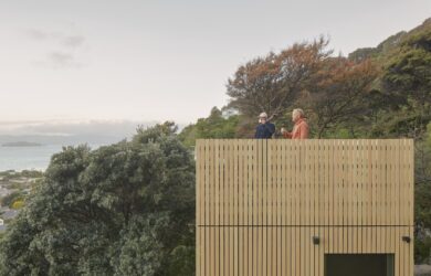Karaka Tower - Arete Architects. Photography: Thomas Seear-Budd