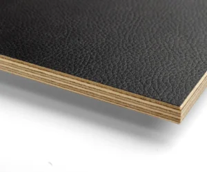 Black Birch Plywood Sample