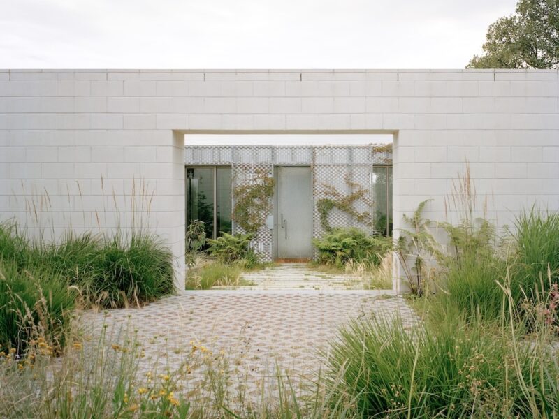 green magazine issue 104: Regenerative Wonder. Photos: Rory Gardiner