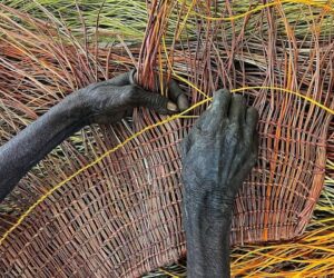Dhapalanys hands Yolnu weaving