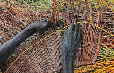 Dhapalanys hands Yolnu weaving