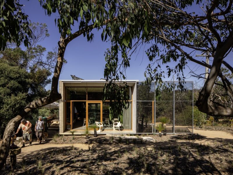Street-facing elevation framed by eucalypts; garden contours slow stormwater to nourish new plantings, photographed for green magazine issue 105: Timeless by Trevor Mein.