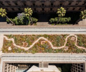 Green Our Roof, by Hassell Studio. Photography: David Hannah