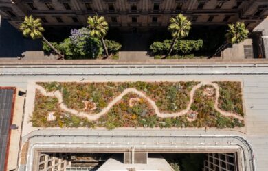 Green Our Roof, by Hassell Studio. Photography: David Hannah