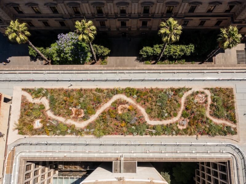 Green Our Roof, by Hassell Studio. Photography: David Hannah