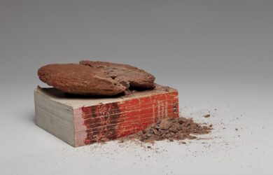 Rock fragments scattered on a dark surface with strong directional lighting.