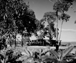 Exterior views of the Black Dolphin Motel, Merrimbula, New South Wales, 1960, architect Robin Boyd (Grounds, Romberg and Boyd). Photo: Mark Strizic, 1961. Collection: State Library of Victoria. H2011.55/2063. Image: Supplied.