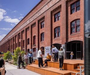 Younghusband (Photo: Trevor Mein 2024)