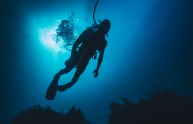 Scuba diver silhouetted underwater above a reef, releasing bubbles while surveying marine habitat.