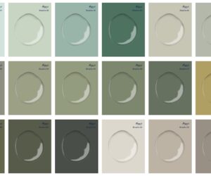 Breathe x Haymes-Paint palettes