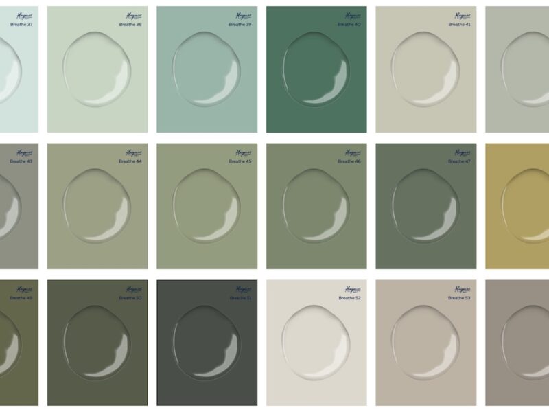 Breathe x Haymes-Paint palettes